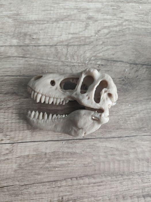 ozdoby czaszka do terrarium akwarium