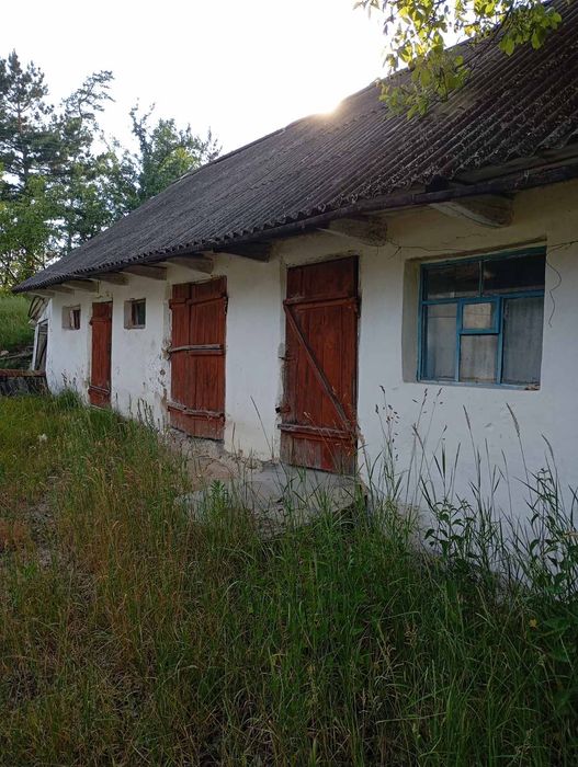 Будинок садиба біля лісу