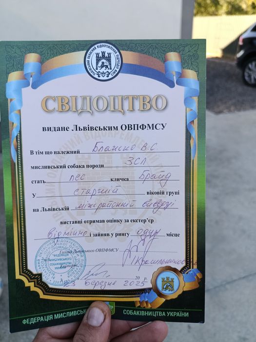 Продам Лайку Західно-Сибірську
