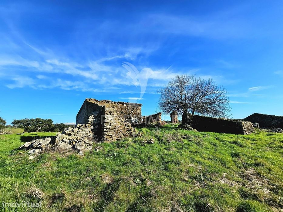 Terreno com 4,3 ha e Ruínas no concelho de Ourique
