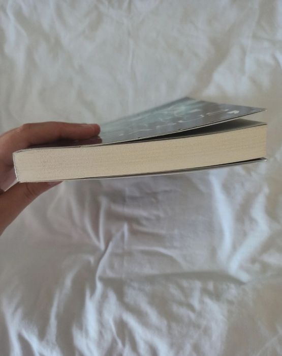 Pegasus e o Fogo do Olimpo