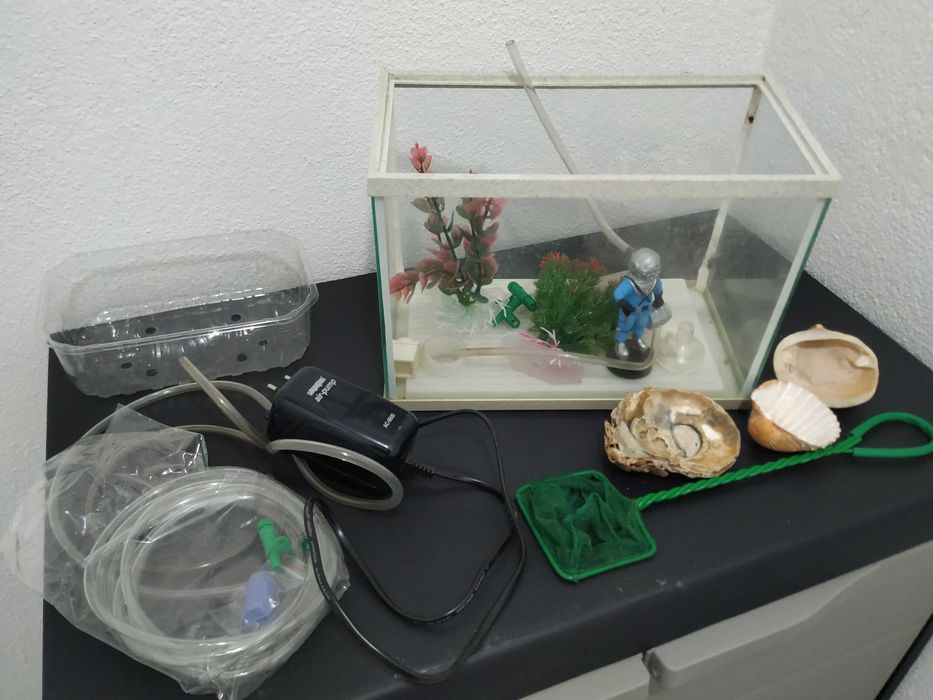 Aquário com 5L de capacidade