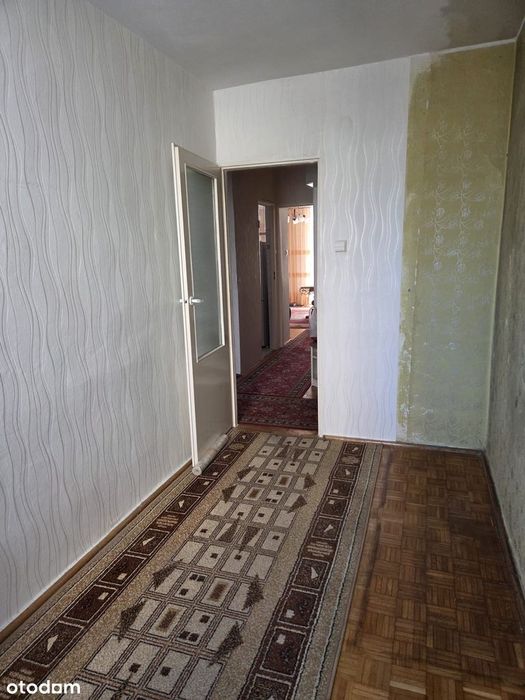 3 Pokoje/Mokre/Szybkie Wydanie