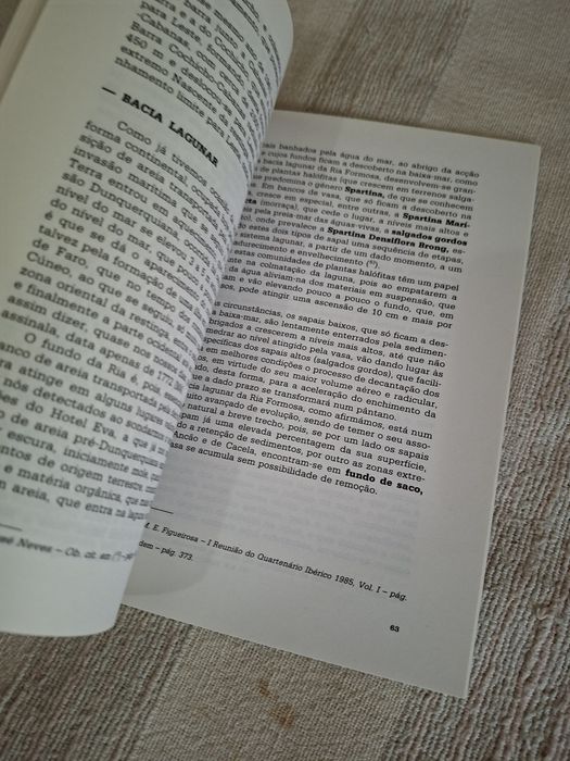 Faro e a Ria Formosa livro de 1988