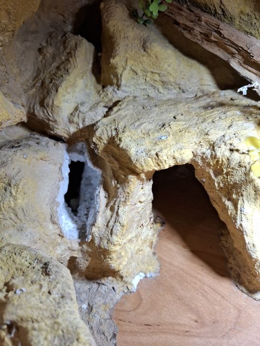 Terrarium dla gekona