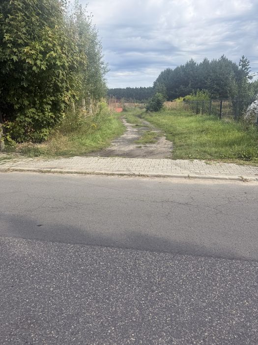 Zdjęcie 2