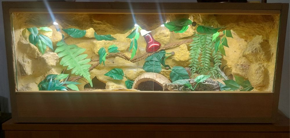 Terrarium 80x35x40 wraz z akcesoriami oraz Gekonem Lamparcim