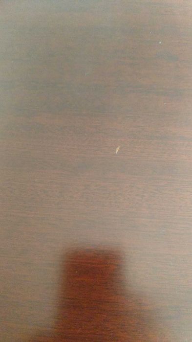 Conjunto Sala de Jantar Completo em Cerejeira