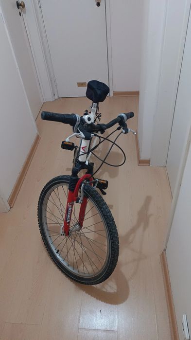 Bicicleta de montanha