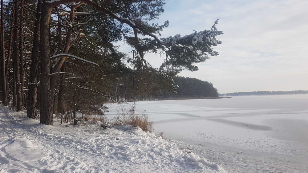 Mormyszka Tulska– najlepsze na świecie! czysty wolfram wędka podlodowa
