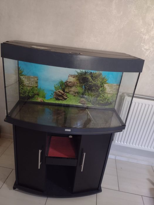 akwarium juvel+-180 litrów wraz z szafką