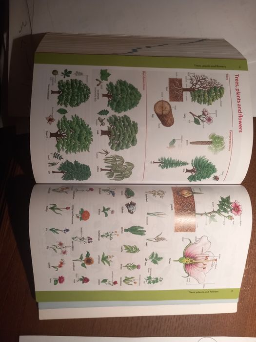 Dicionário inglês inglés da oxford