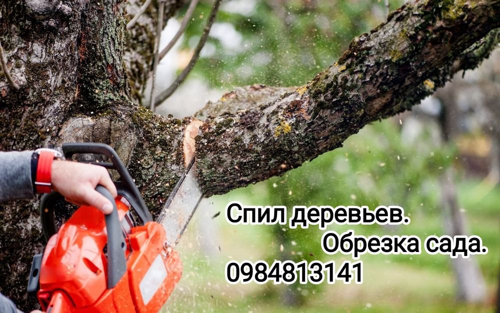 Спил и обрезка деревьев