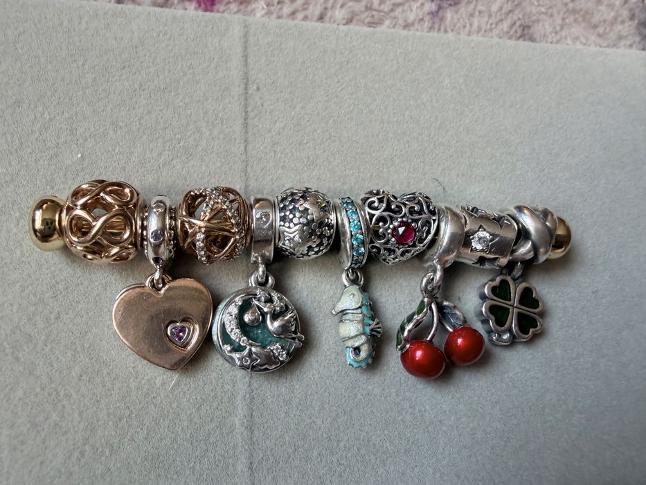 Pandora Moments charms