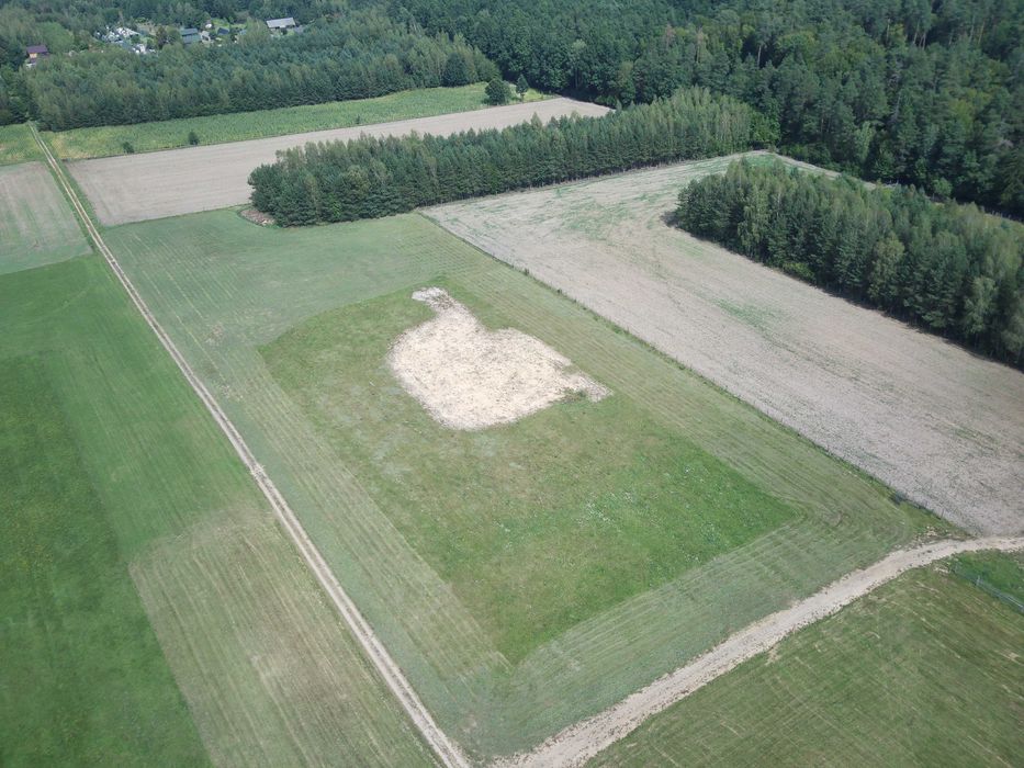 Działki z warunkami zabudowy w spokojnej okolicy