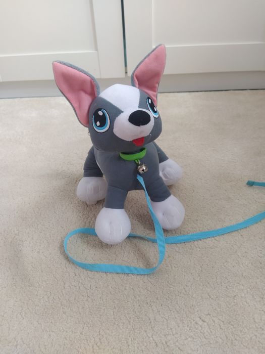 Epee psi rozrabiaka boogie junior pies na smyczy