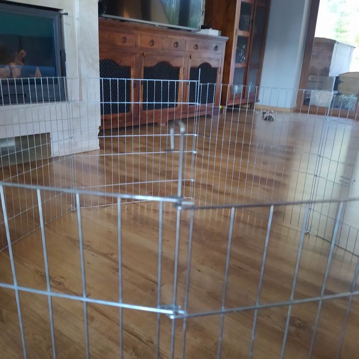 Kojec dla małych piesków, gryzon,i itp.