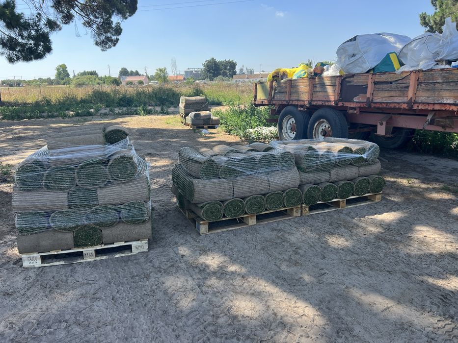 relva natural em tapete