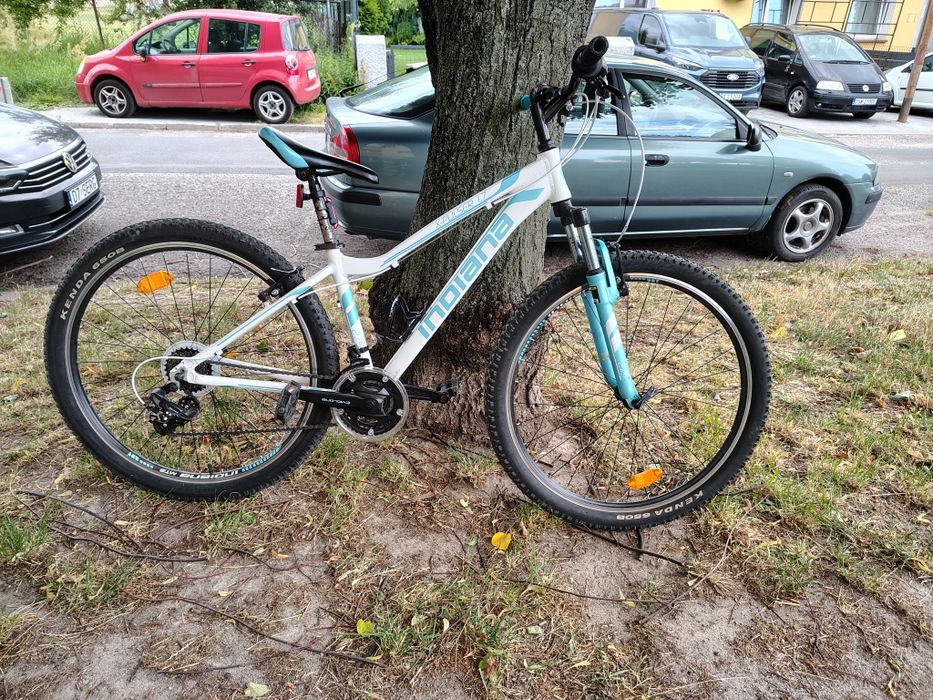 Rower górski Indiana 26"