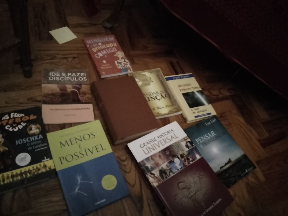 Livros saldos Saramago, editoras século/Romano/Guimares outros Desde2E