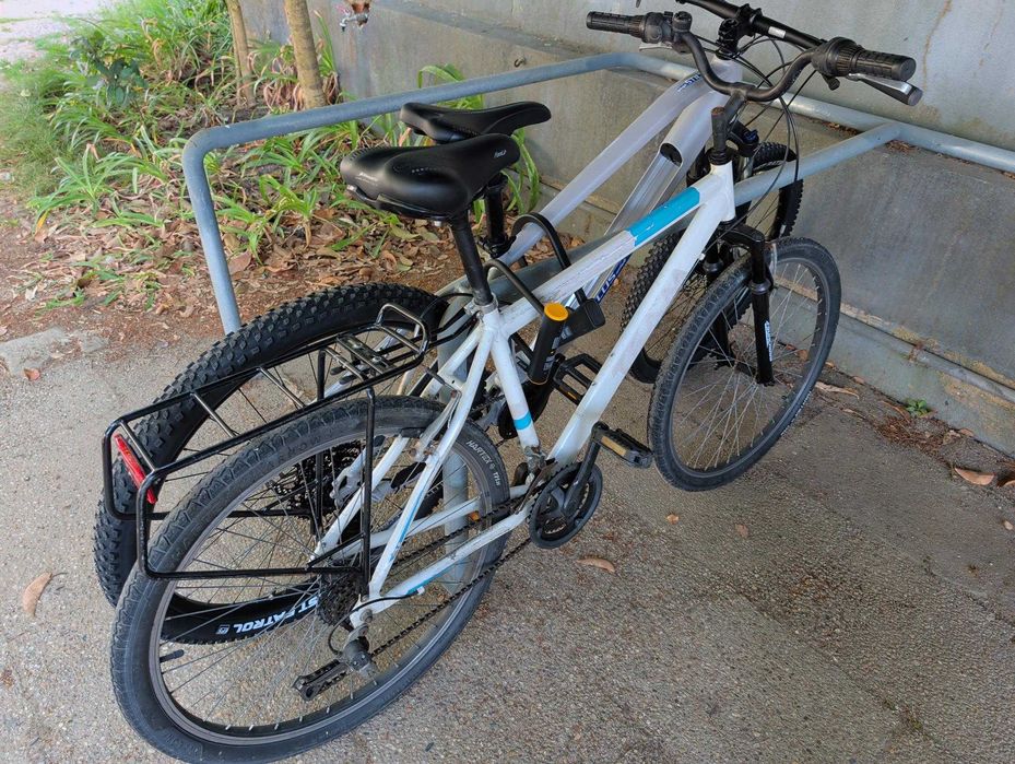 Bicicleta honesta procura novo dono - 60 € !!!