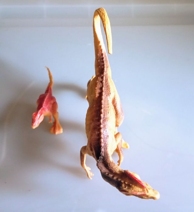 Dinossauros antigos.7€ os dois.
