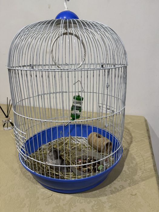 Vendo gaiola e acessórios