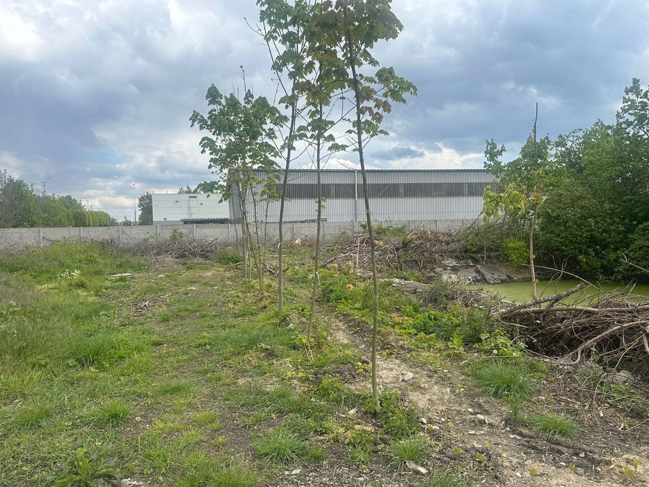 Działka inwestycyjna Opole ul. Dworska