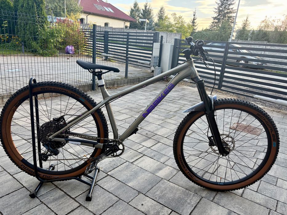 NSBIKE Eccentric M