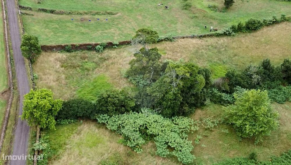 Terreno  para venda
