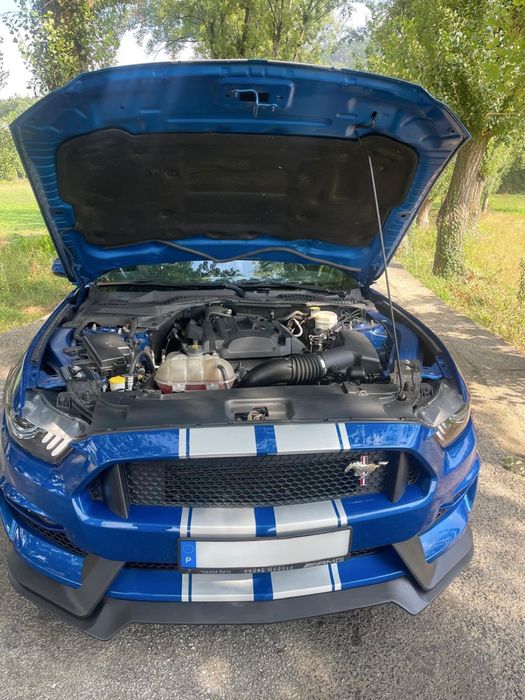 Ford Mustang ecoboost 2.3 auto 317 cv