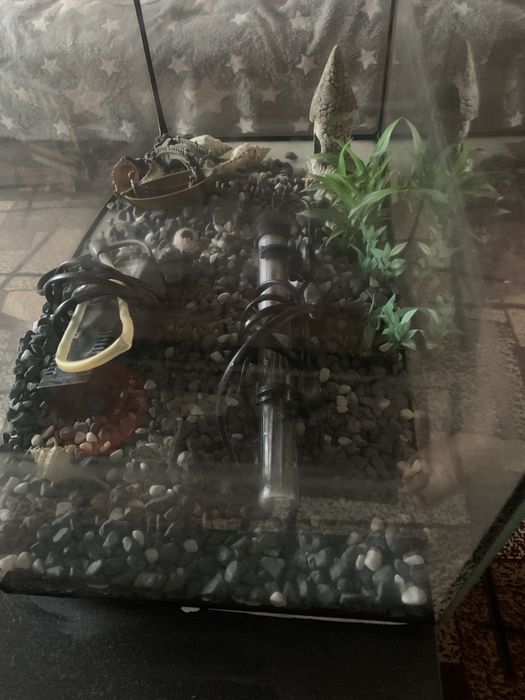 Продам акваріум 25*55*35 з тумбою