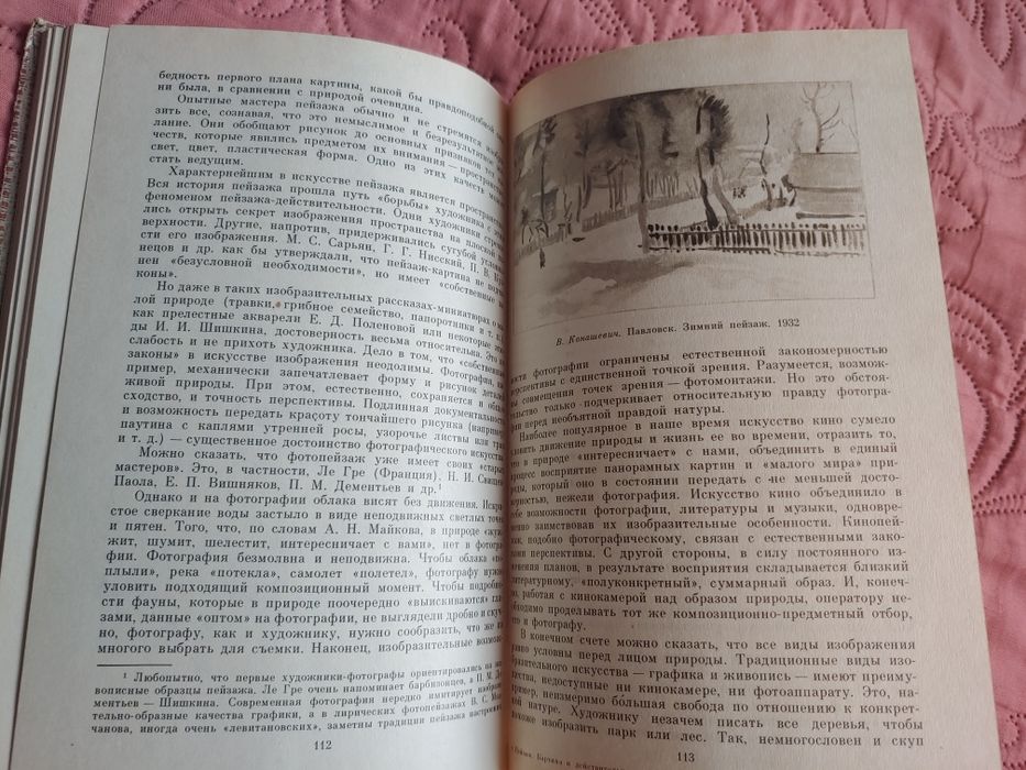 Пейзаж ,картина и действительность