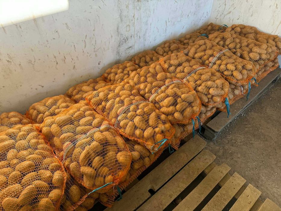 Ziemniaki Denar 10zl/15kg