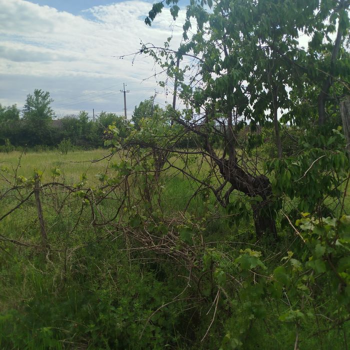 Продам  будинок з ділянкою 20 соток під ремонт р-н Грензавод