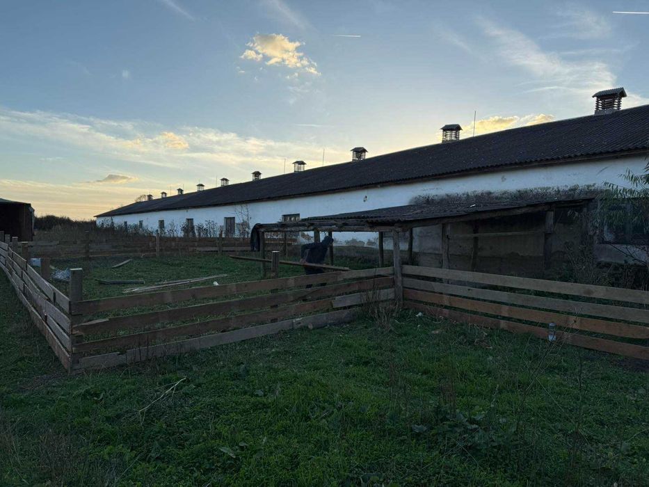 Свиноферма 2200 м2