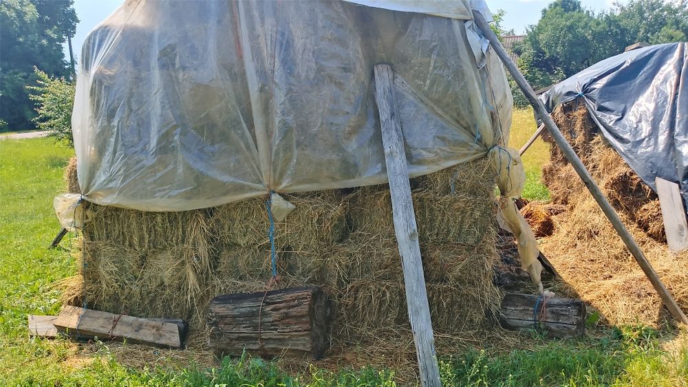 Продам сіно в тюках (різнотрав'я) 2026 року