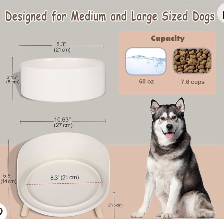 Ceramiczna miska dla psa