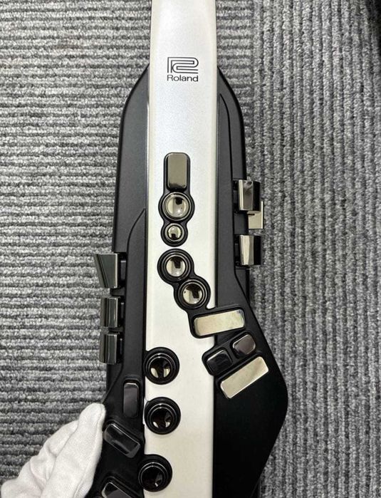 Multi instrumento Digital Roland Aerofone AE 20