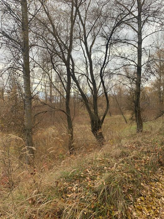 Участок 10 сот под застройку, вторая линия, с. Соболевка
