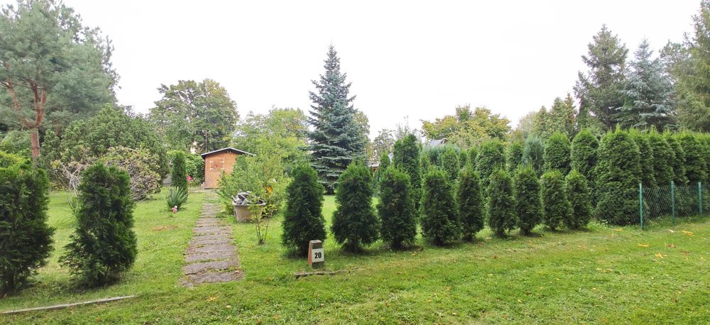 Działka ROD ul. Pryncypalna 400 m² - Widok 3