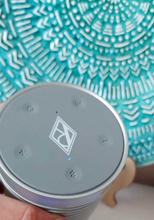 Głośnik bezprzewodowy Ralph Lauren Wireless Speakers Ralph's Club