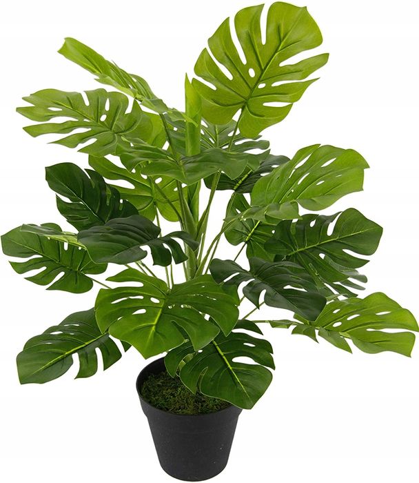 flair flower sztuczna monstera, wiecznie zielona ozdobi twój dom