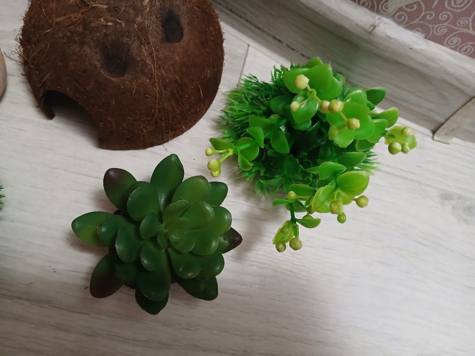 Ozdoby do akwarium lub terarium