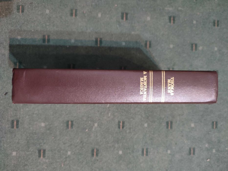 A Montanha Mágica - Thomas Mann