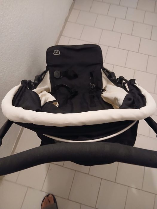 Carinho de passeio