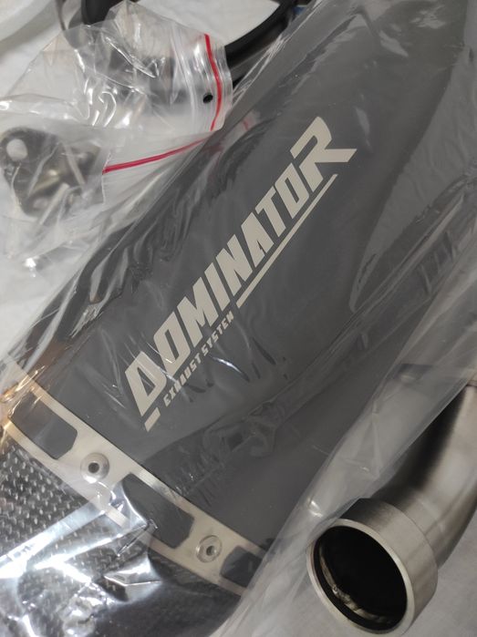 Kawasaki Escape Carbono