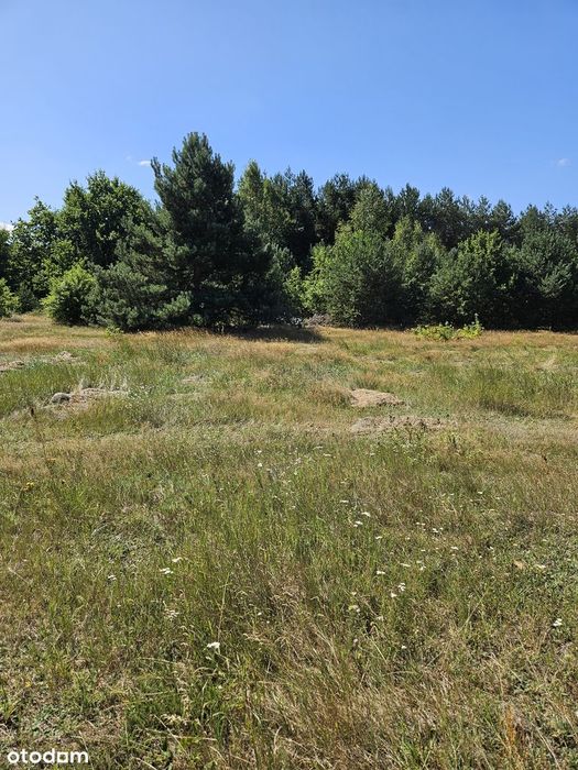 Działka budowlana 3003 m² – Brogi, gm. Dobroń