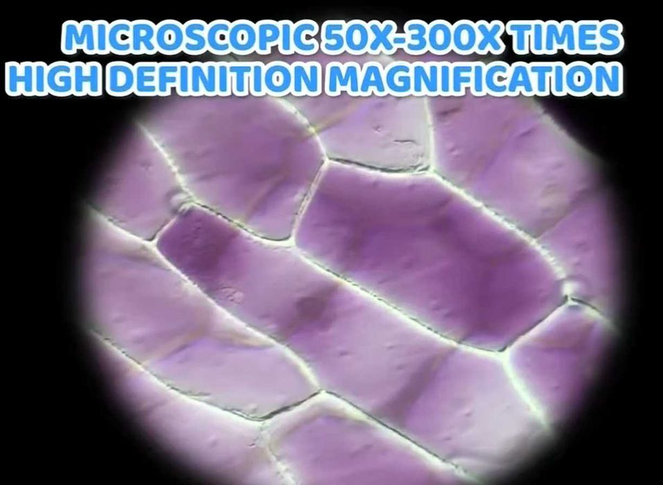 Microscópio portátil  Kit Científico para Crianças