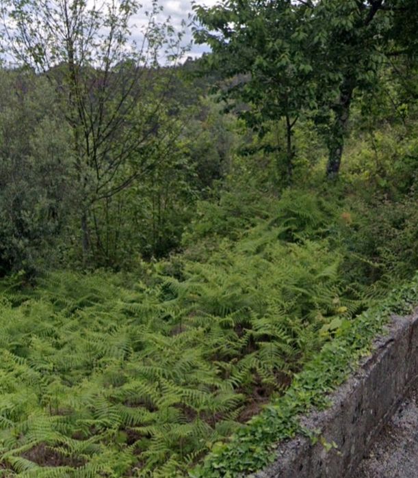 Terreno para construção em sampriz